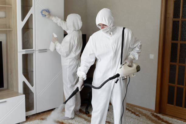 Best Mold Damage Repair  in East Hills, NY